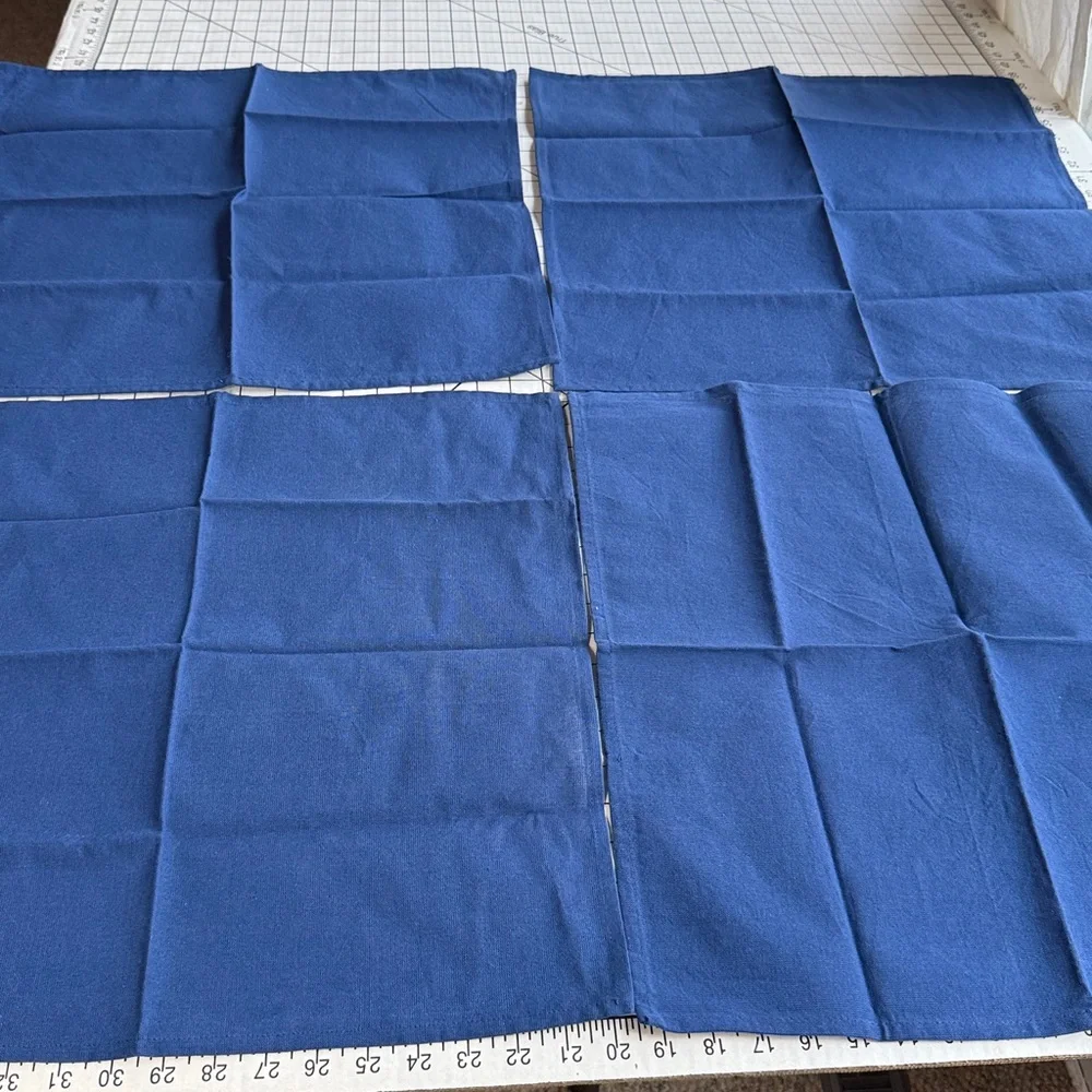 Pier 1 Imports Cotton Napkins Set of 4 – Blue – 20x20 – Made in India